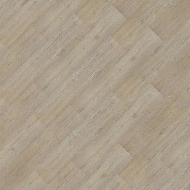 2409771-Image-1