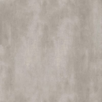 2538407-Image-1