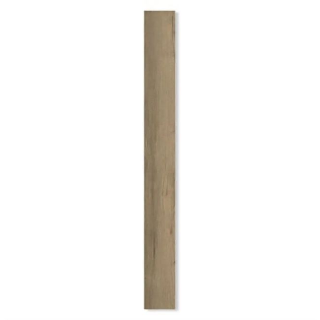 2499592-Image-1