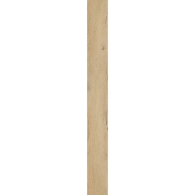 2499533-Image-1
