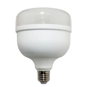 Lâmpada High Power Led 40W 6500K Bivolt LLumm Bronzearte