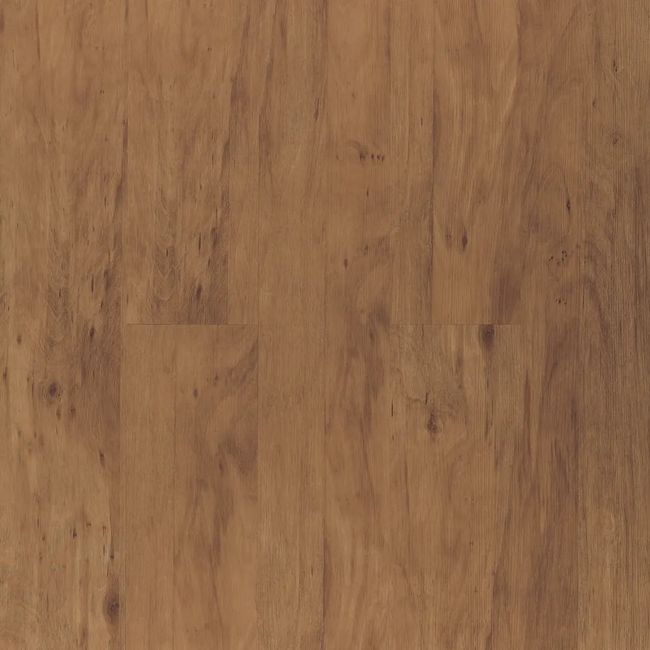 1589210-Image-1