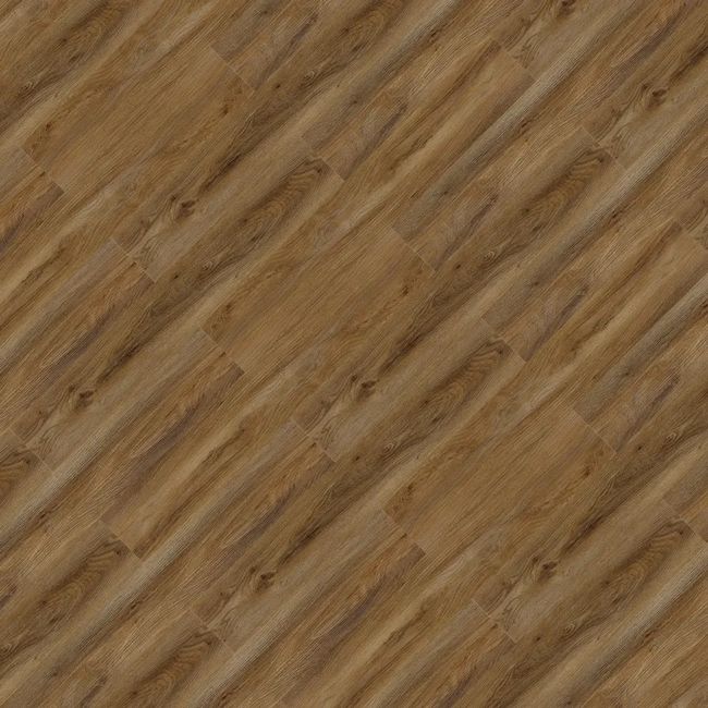 1537849-Image-1