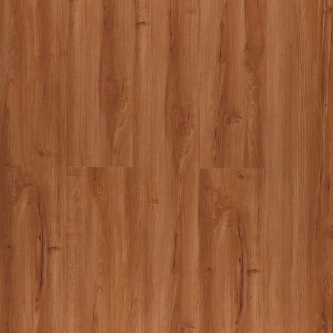 1589270-Image-1