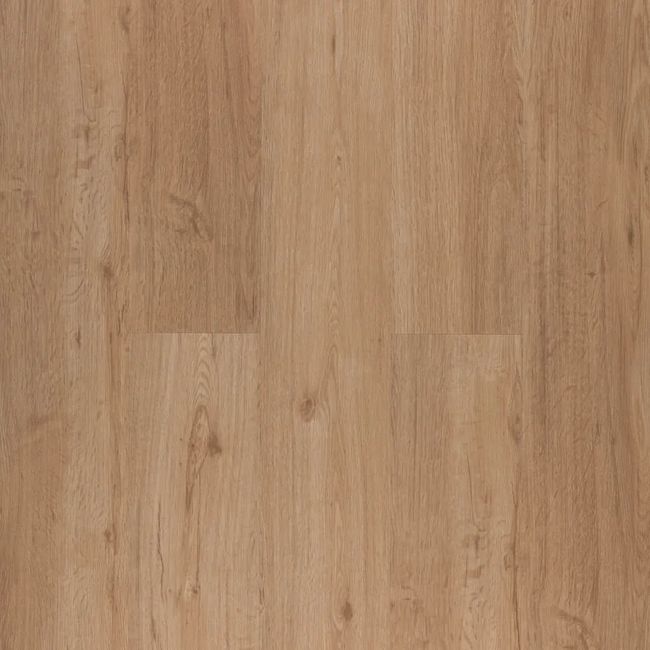1589237-Image-1