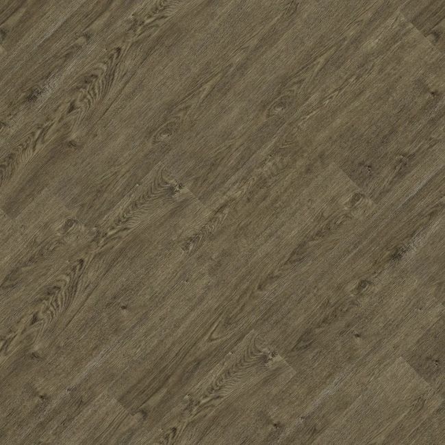 1354795-Image-1