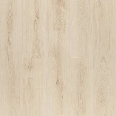 1626256-Image-1