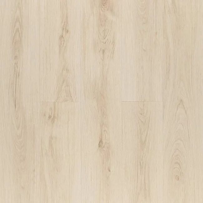 1626256-Image-1