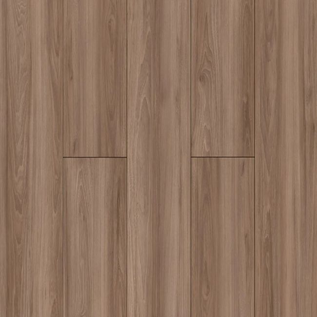 1626000-Image-1