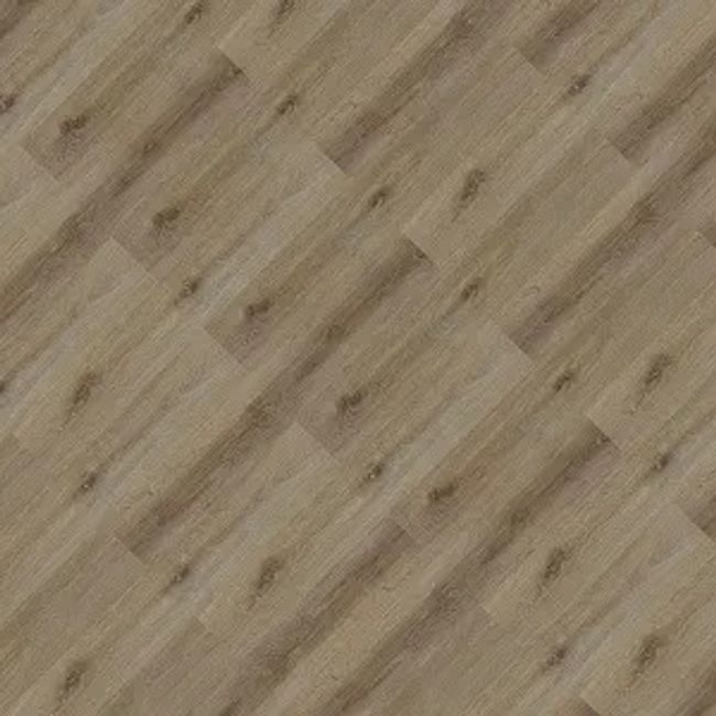 1537806-Image-1