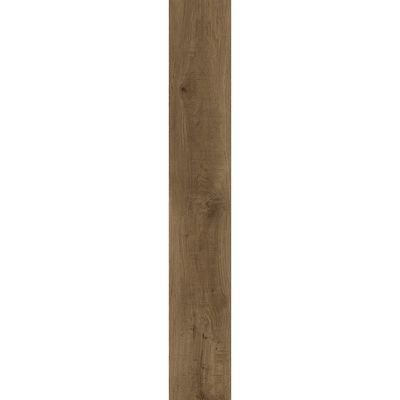2443554-Image-1