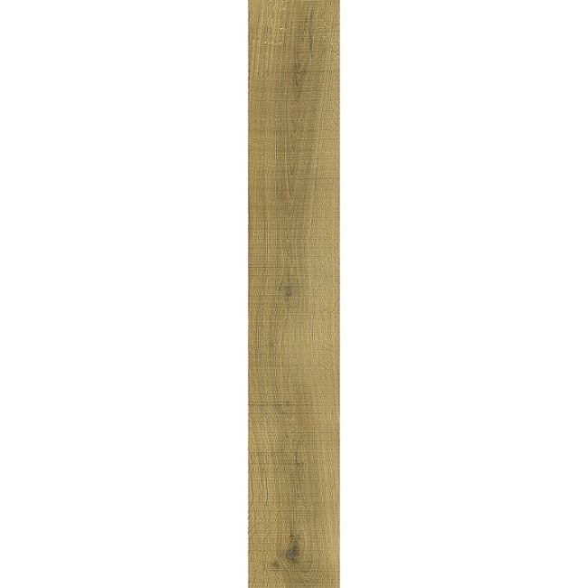 2443546-Image-1