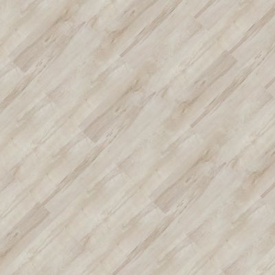 2321904-Image-1
