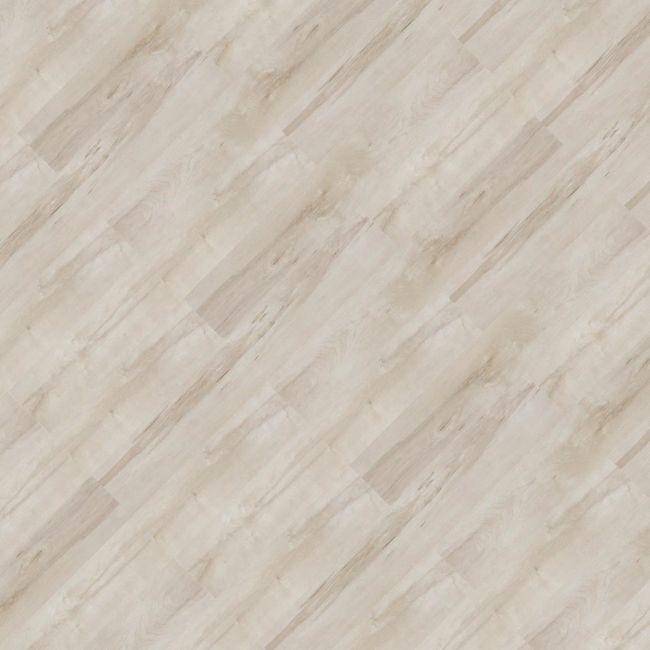 2321904-Image-1