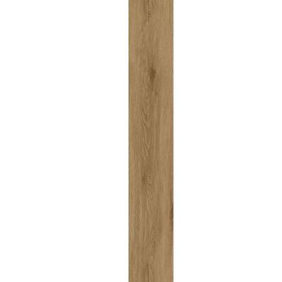 2471833-Image-1