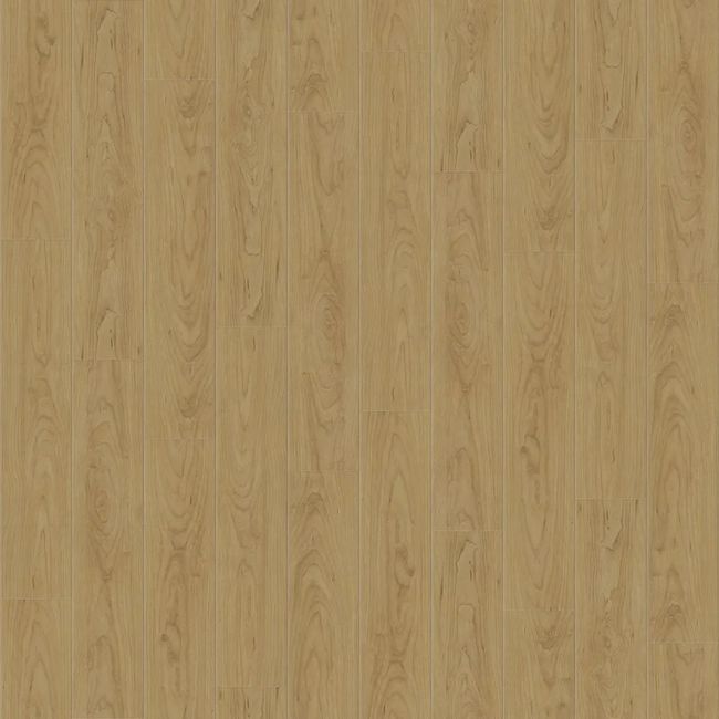 1841050-Image-1