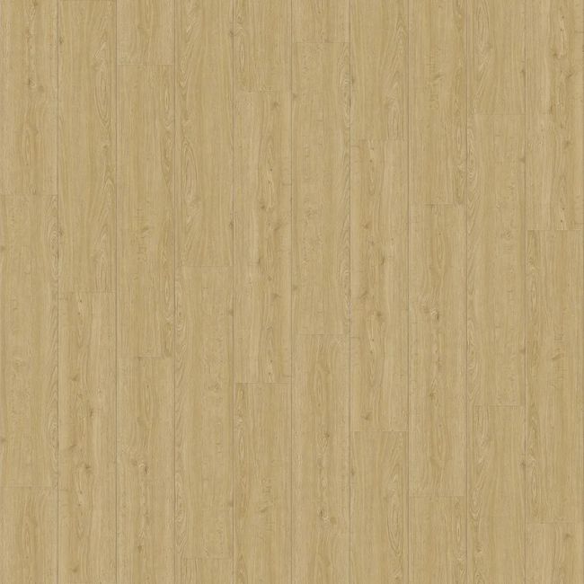 1841041-Image-1