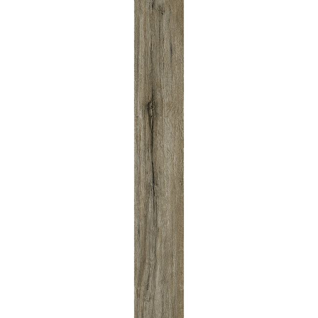 2443597-Image-1