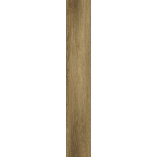 2443503-Image-1