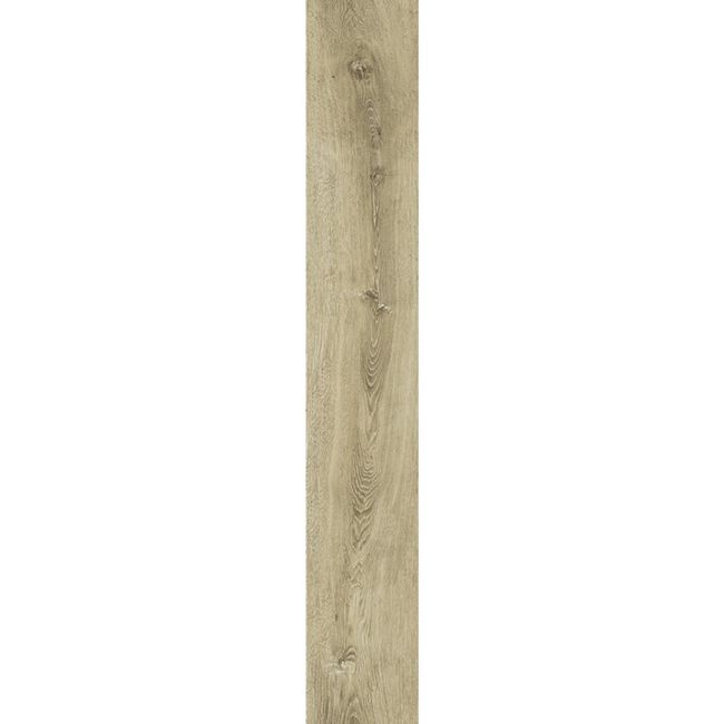 2443570-Image-1
