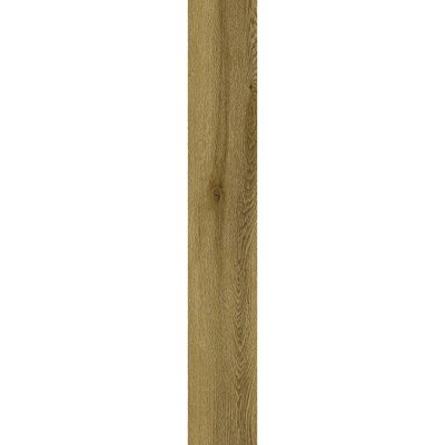 2443538-Image-1
