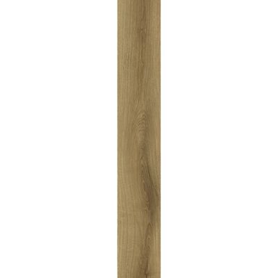 2443589-Image-1