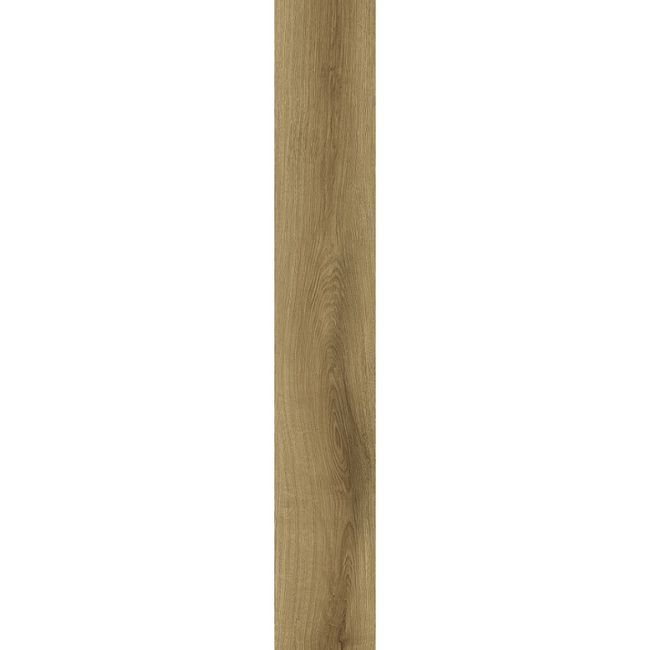 2443589-Image-1