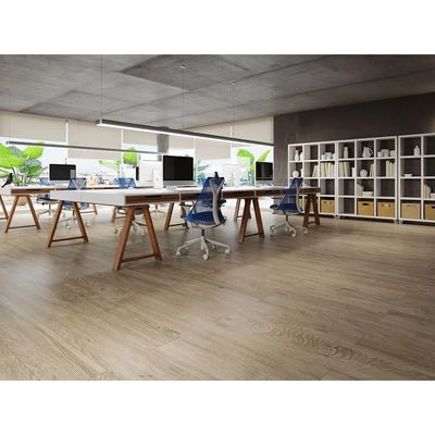 2517124-Image-1