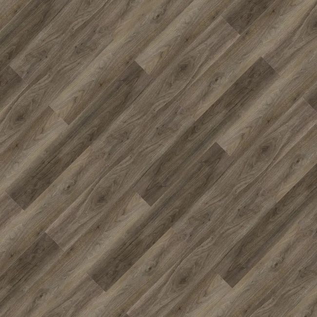 2539969-Image-1