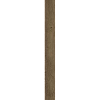 2499509-Image-1
