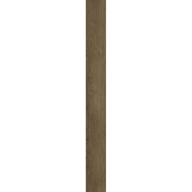 2499509-Image-1