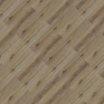 2540029-Image-1