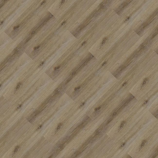 2540029-Image-1