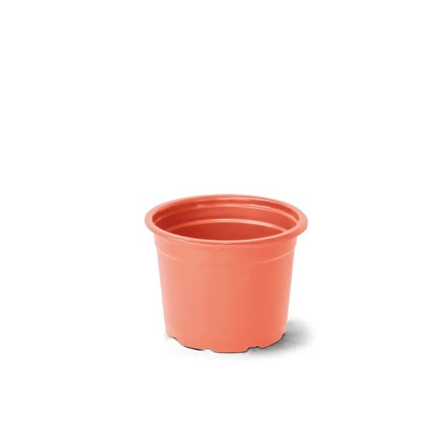 1628690-Image-1