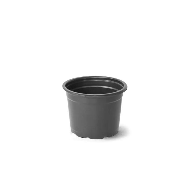 1628704-Image-1
