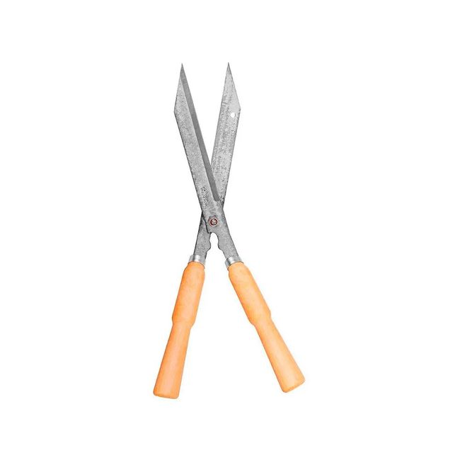 1574876-Image-1