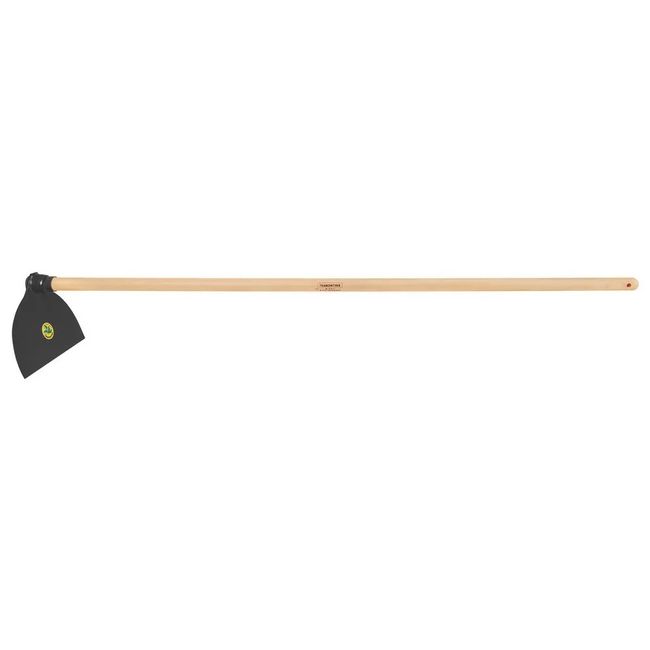 14290-Image-1
