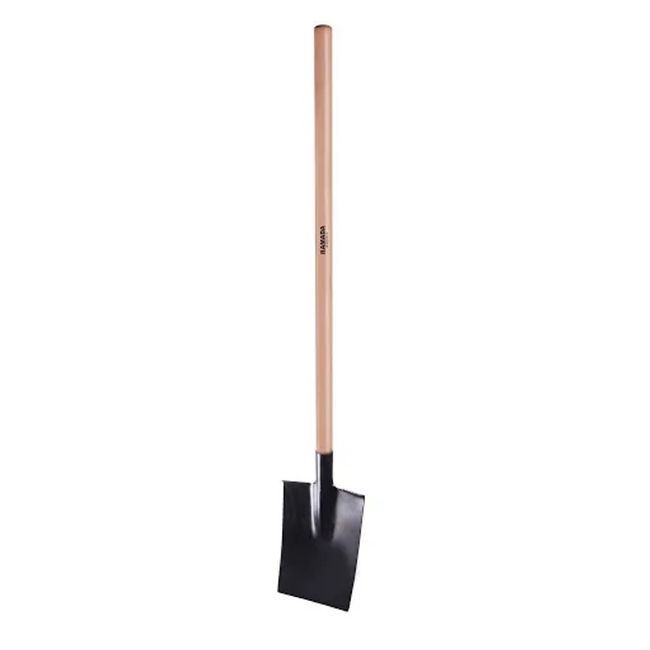 1531000-Image-1