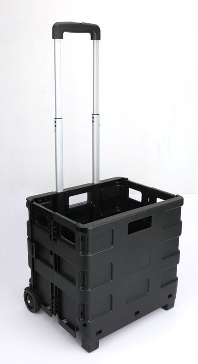 Carrinho-Dobravel-Multiuso-Preto-Novipro-2639718-1
