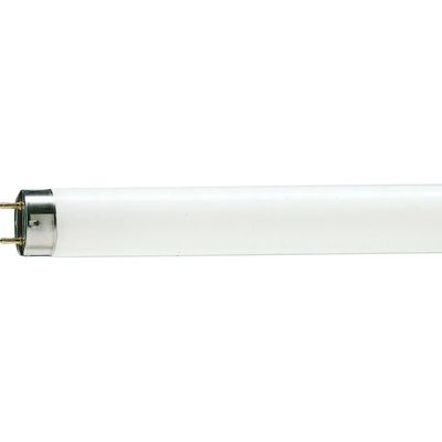 1480294-Image-1