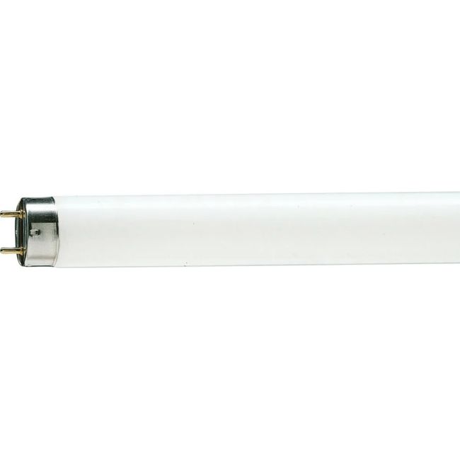 1480294-Image-1