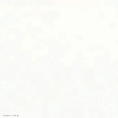1287095-Image-1