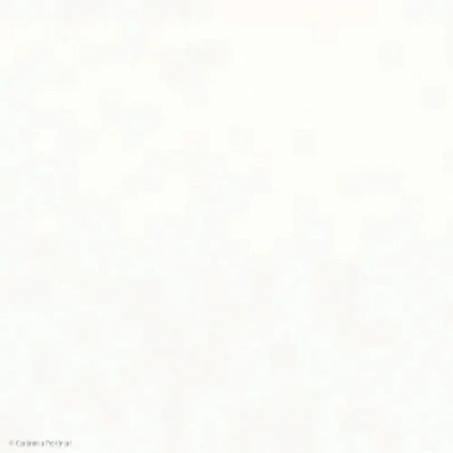 1287095-Image-1