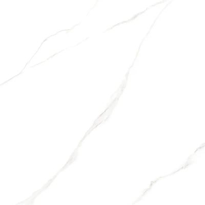 2502526-Image-1