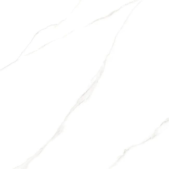 2502526-Image-1