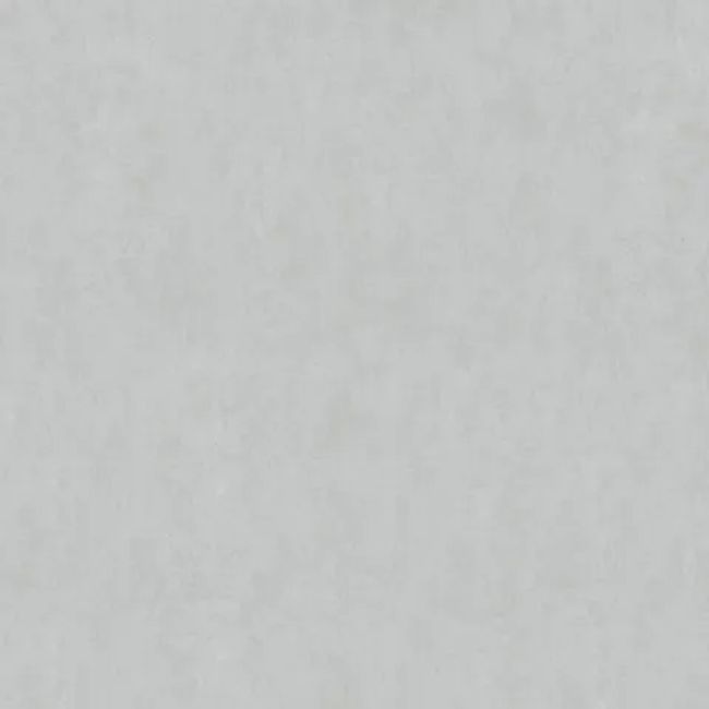 2436981-Image-1