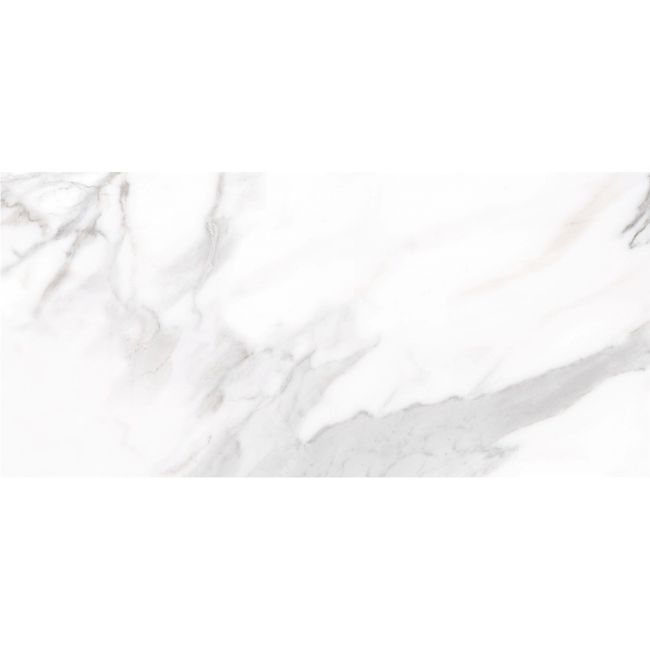 2363526-Image-1