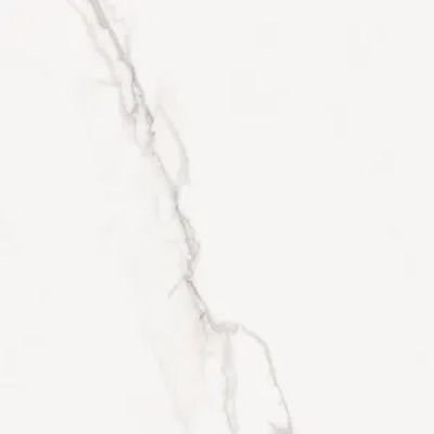 2421801-Image-1