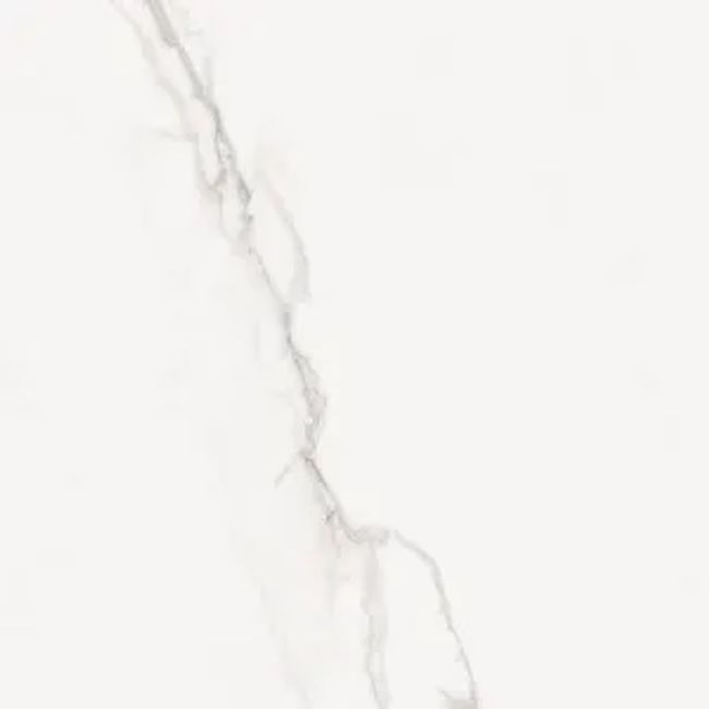 2421801-Image-1