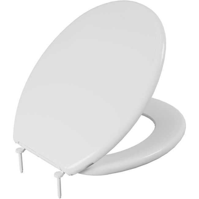 31kEBuWoHGL._AC_SL1080_